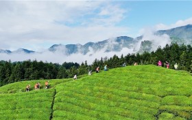 2025中国山马越野系列赛（鹤峰站）落幕 跑者乐享“舌尖上的鹤峰”