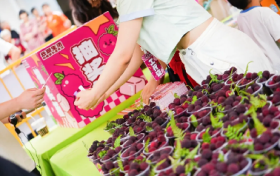 杨梅音乐嘉年华璀璨启幕，云湖之夏唱响乡情与时尚